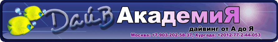 Дайв-АкадемиЯ +7(903)202-58-37